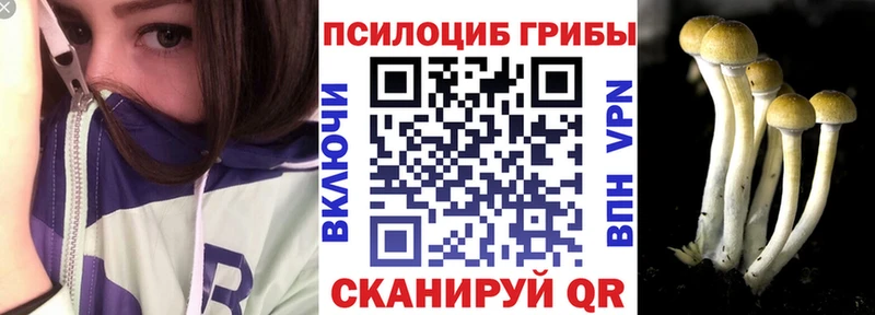 как найти   Ардон  Галлюциногенные грибы MAGIC MUSHROOMS 