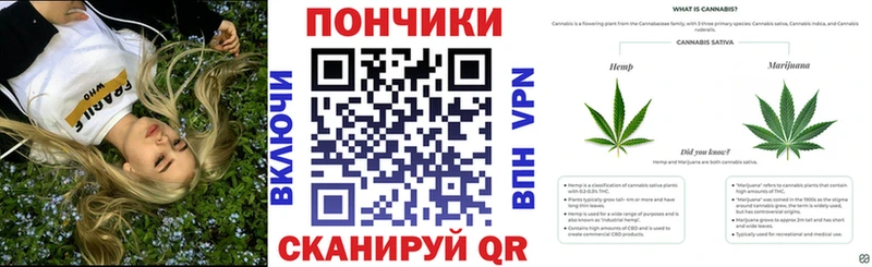 купить  сайты  Ардон  OMG как зайти  Канабис марихуана 